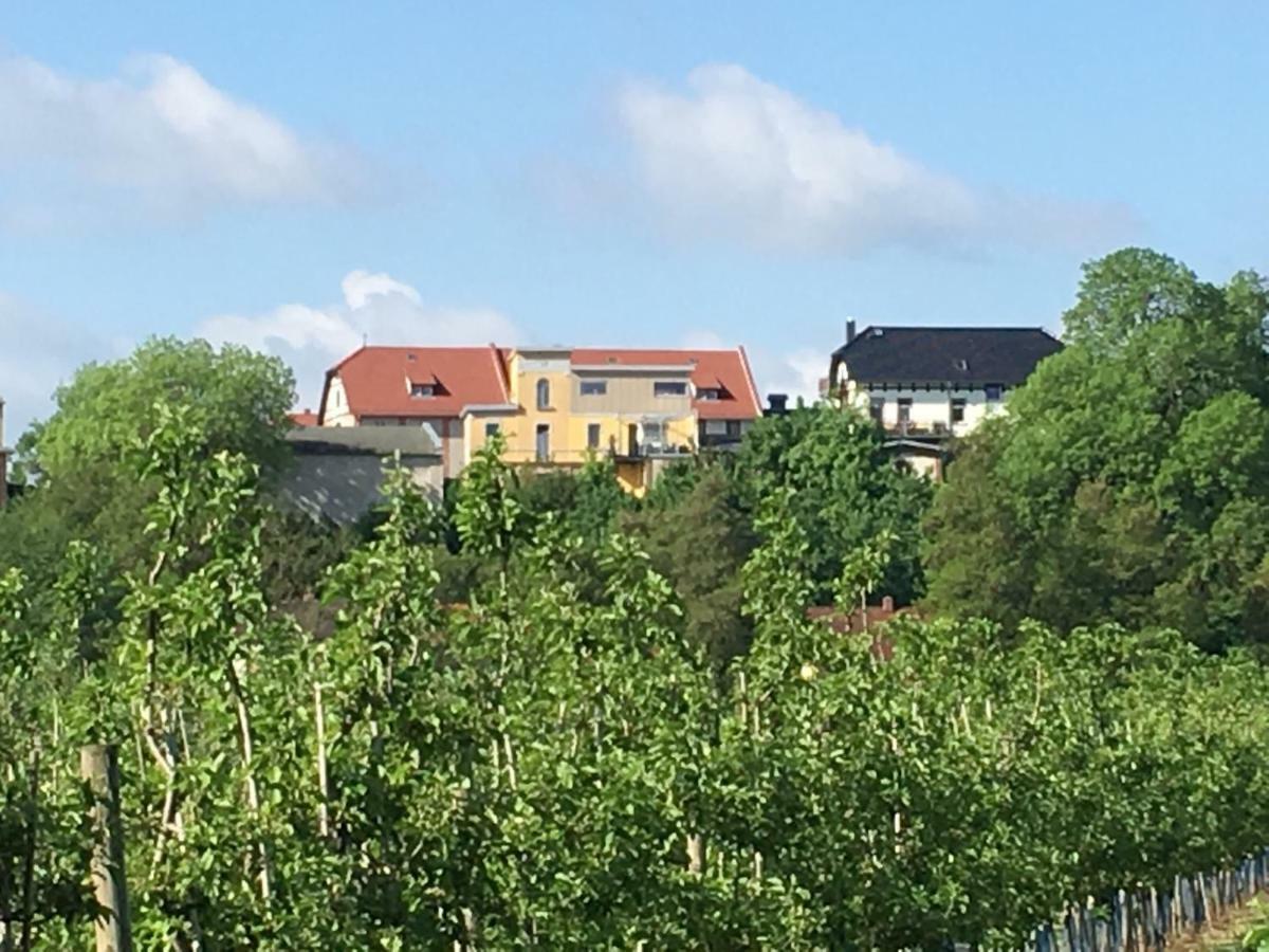 Ferienwohnung Zum Saaletalblick Naumburg  Exterior photo